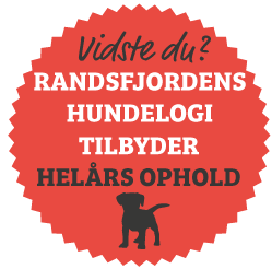 Randsfjordens Hundelogi tilbyder helårs ophold